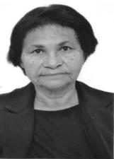 Terezinha ( 12533 ) Vereador  2016