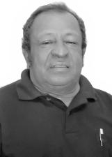 Foto Tatu do Bem 43048