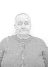 Aparecida do Léo ( 15555 ) Prefeito Fervedouro 2016