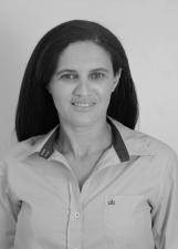 Anjinha ( 45444 ) Prefeito Primavera 2016