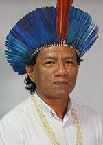 Cacique Srêwê Xerente ( 51777 )